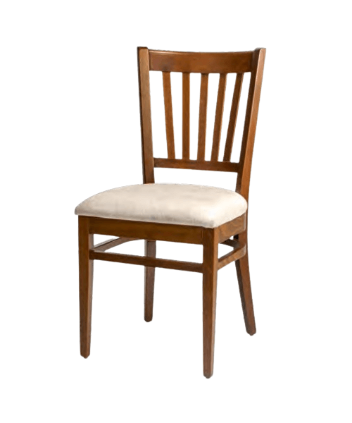 Dining chair DSC001