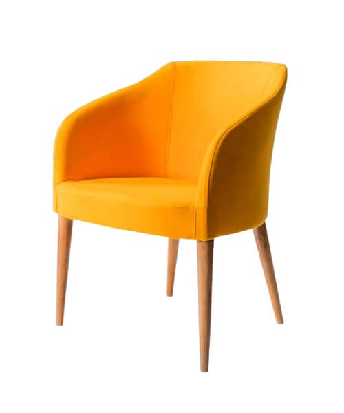 Modern Style Chair MSD001